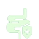 Gut Health & Digestion†