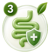 Week 3: Gut + Immune Sync